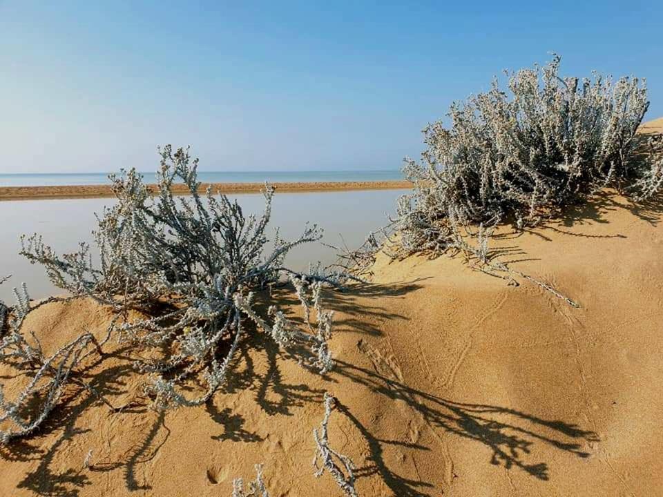 Il Canneto Di Selinunte 马里内拉 外观 照片