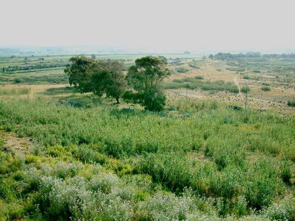 Il Canneto Di Selinunte 马里内拉 外观 照片